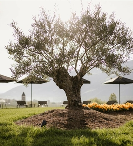 Spa hotel South Tyrol, adults-only Sky Spa at Feldhof Spa hotel South Tyrol, adults-only Sky Spa at Feldhof